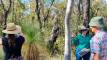 Barakula State Forest